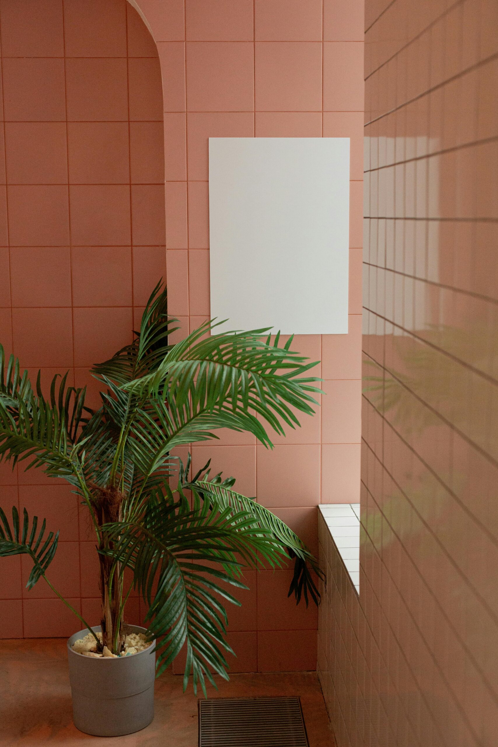 Interior of contemporary apartment with fresh verdant potted plant in building with ceramic clean tile